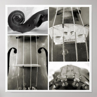 An Old Viola's Parts Photographic Print