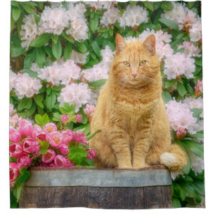 An Orange Cat in a Garden with Pink Spring Flowers Shower Curtain