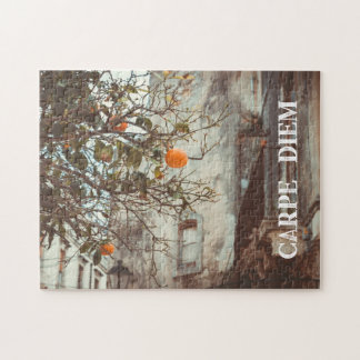 An Orange Tree in a Romantic Old Town Jigsaw Puzzle