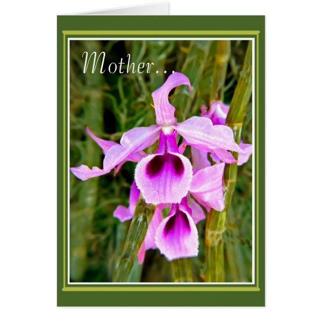 An Orchid For Mother (Front)