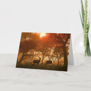 An Ordinary Vue Card