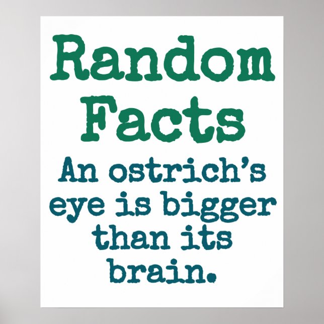 An Ostrich's Eye Is Bigger - Trivia Fact Poster (Front)
