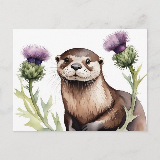 An otter with a thistle postcard (Front)