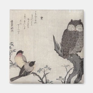 An Owl and two Eastern Bullfinches Magnet