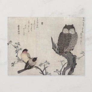 An Owl and two Eastern Bullfinches Postcard