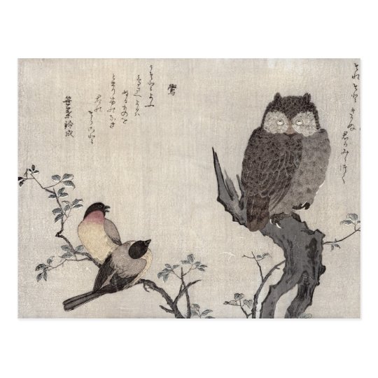 An Owl and two Eastern Bullfinches Postcard