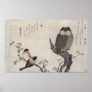 An Owl and two Eastern Bullfinches Poster