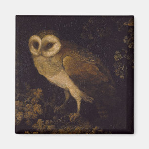 An Owl by Moses Haughton the Elder Magnet