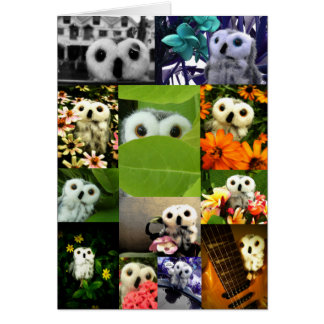 An Owl Named Ophelia