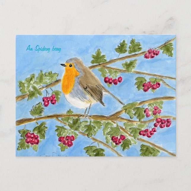 An Spideog beag postcard (Front)