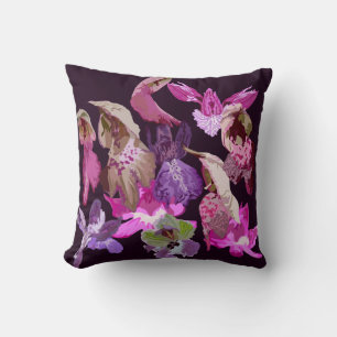 Anacamptis orchids cushion