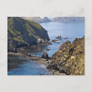 Anacapa Island Postcard
