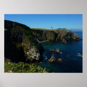 Anacapa Island Scenic View at Channel Islands Poster