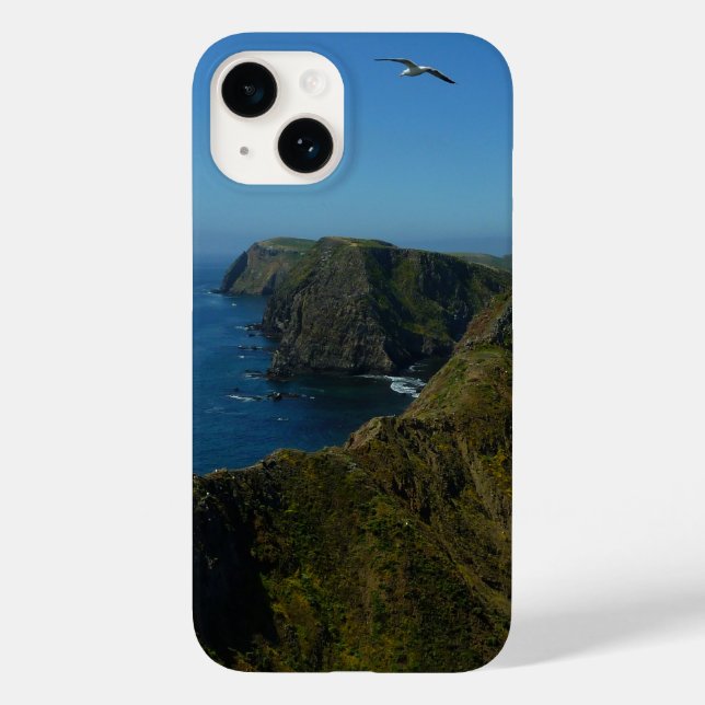 Anacapa's Inspiration Point I in Channel Islands Case-Mate iPhone Case (Back)