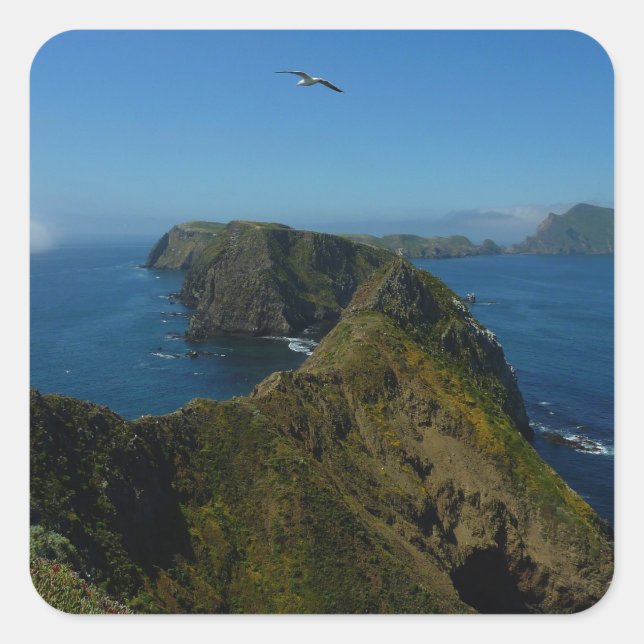Anacapa's Inspiration Point I in Channel Islands Square Sticker (Front)