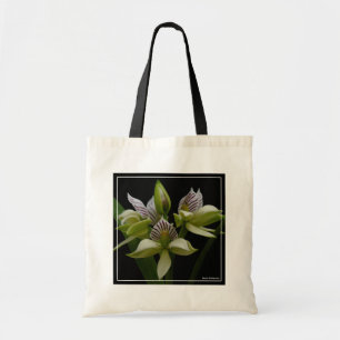Anacheilium Chacoense Tote Bag