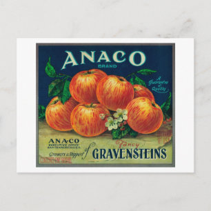 Anaco Apple Crate Label Postcard