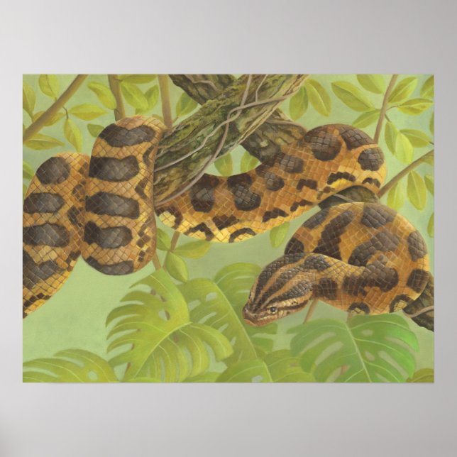 Anaconda Poster (Front)