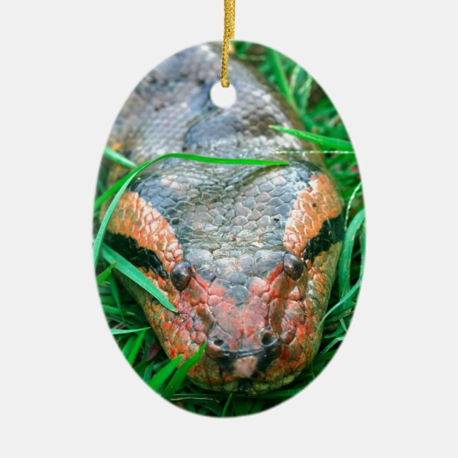 Anaconda snake ceramic tree decoration (Front)