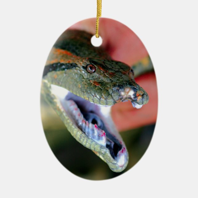 Anaconda snake jaws open exposing large fangs ceramic tree decoration (Front)