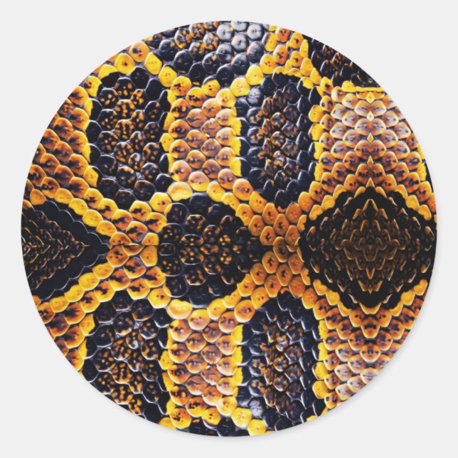 Anaconda snake skin classic round sticker (Front)