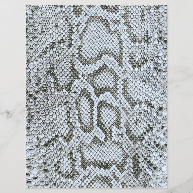 Anaconda Snakeskin Texture 2 Sided Scrapbook Paper (Front)