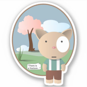 Anaesthesia Orthopaedics There Is A Fracture