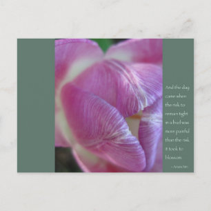 Anais Nin Quote Postcard