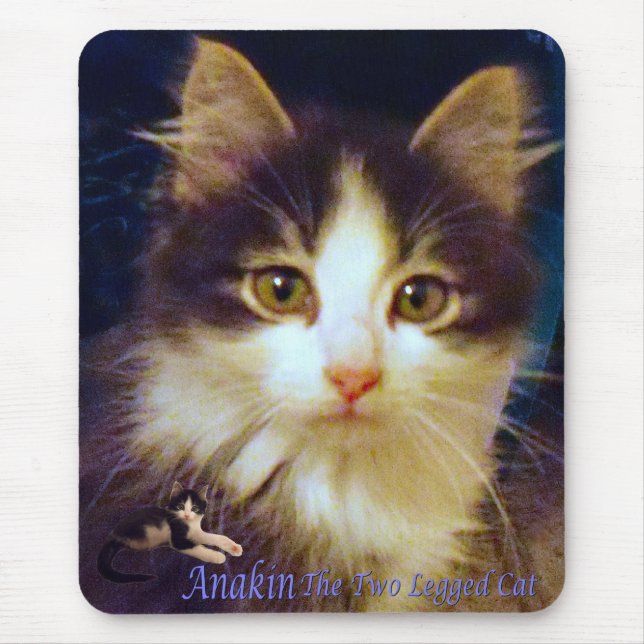 Anakin Two Legged Cat Cute Kitten Mousepad CloseUp (Front)