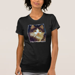 Anakin Two Legged Cat, Cute Kitten T-shirt CloseUp