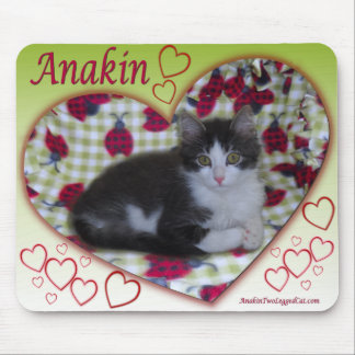 Anakin Two Legged Cat Ladybug Heart KittyMousepad Mouse Pad