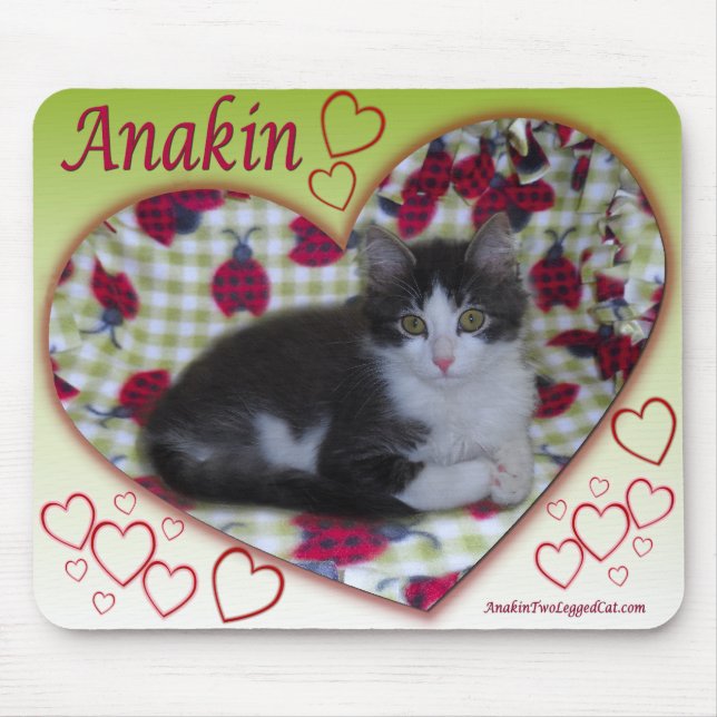 Anakin Two Legged Cat Ladybug Heart KittyMousepad Mouse Pad (Front)