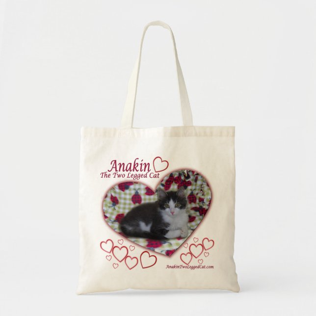 Anakin Two Legged Cat, Ladybugs Hearts, Kitten Bag (Front)