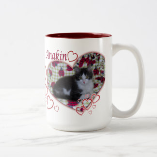 Anakin Two Legged Cat, Ladybugs Hearts, Kitten Mug