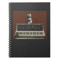 Analogue Modular Synthesizer Cat Music Producer