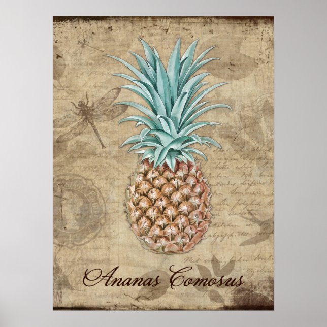 Ananas Comosus - Natural History Poster (Front)