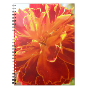Anastaise Notebook
