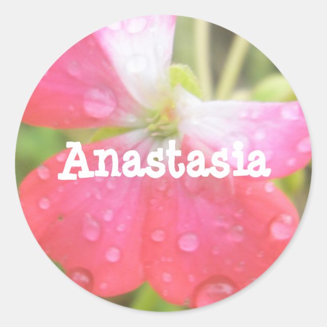 Anastasia girls name amaryllis stickers (Front)
