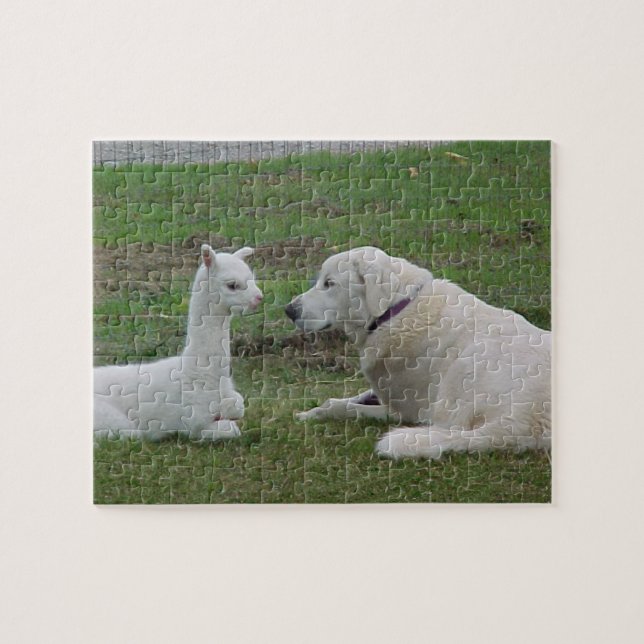 Anatolian Shepherd and Alpaca Cria Jigsaw Puzzle (Horizontal)