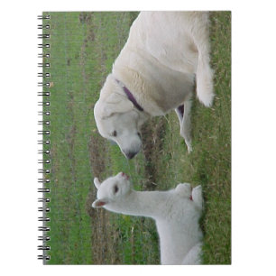 Anatolian Shepherd and Alpaca Cria Notebook