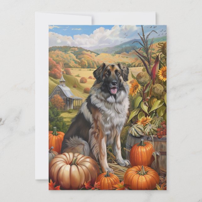 Anatolian Shepherd Dog Autumn Harvest Thanksgiving Holiday Card (Front)