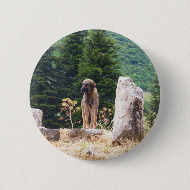 Anatolian Shepherd Dog -  Ephesus, Turkey 6 Cm Round Badge (Front)