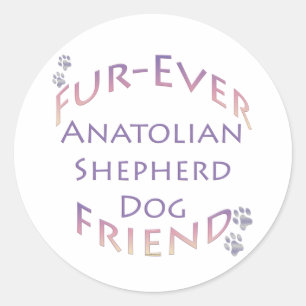 Anatolian Shepherd Dog Furever Classic Round Sticker