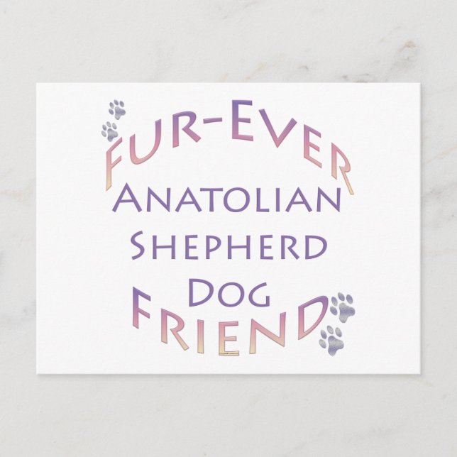 Anatolian Shepherd Dog Furever Postcard (Front)