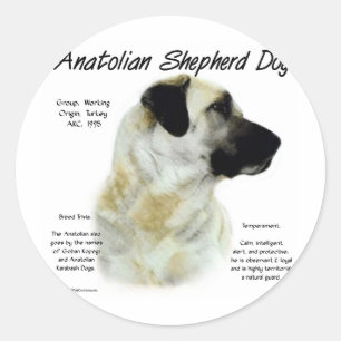 Anatolian Shepherd Dog History Classic Round Sticker