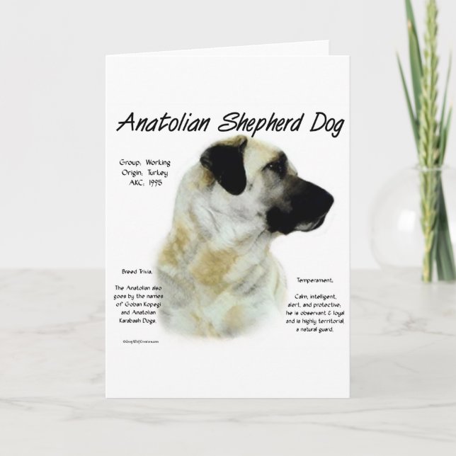 Anatolian Shepherd Dog History  Holiday Card (Front)
