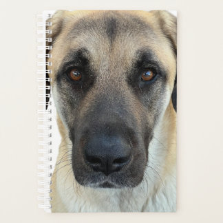 Anatolian Shepherd Dog Planner