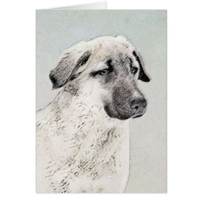 Anatolian Shepherd Painting - Original Dog Art (Front)
