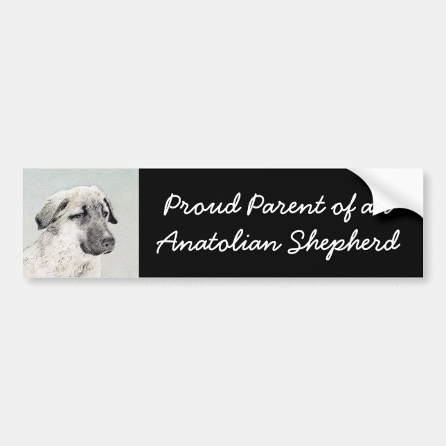 Anatolian Shepherd Painting - Original Dog Art Bumper Sticker (Front)