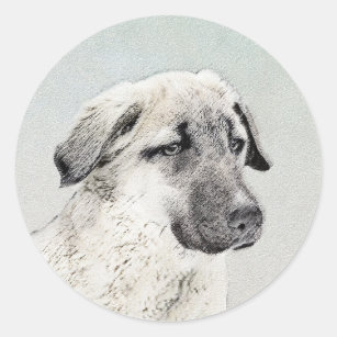 Anatolian Shepherd Painting - Original Dog Art Classic Round Sticker